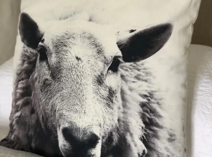 Holmeshead Farm * Ambleside