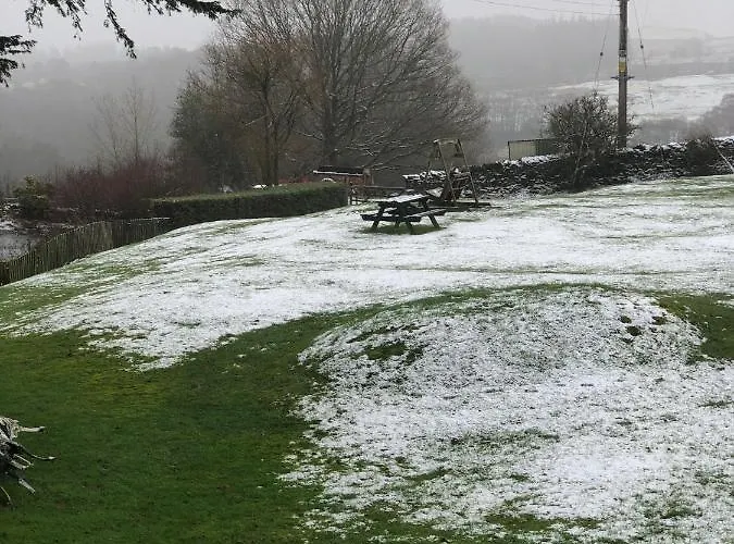 Bed & Breakfast Holmeshead Farm